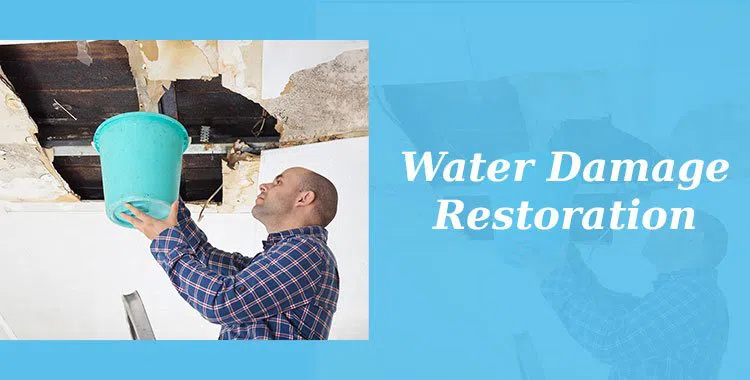 #bslide1 logo-image - banner-1-v2-wgr-34