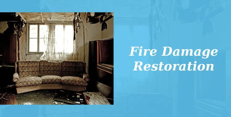 #bslide2 logo-image - banner-2-v2-wgr-34