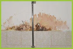 Palm Beach Restoration Company Palm Beach, FL 561-370-6476 Palm Beach Restoration Company Palm Beach, FL 561-370-6476 - sid-leaks-serv-wgr-34